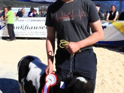 2019_ausstellung polling_556